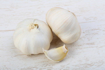 Garlic