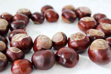 Fresh chestnuts