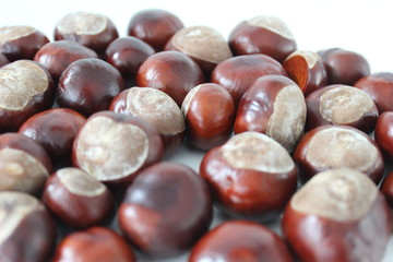 Fresh chestnuts