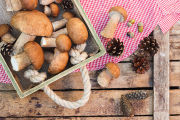 Raw white mushrooms, pine cones and decorations