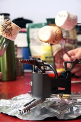 Roasting Marshmallows 