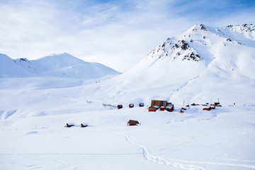 Winter Escape