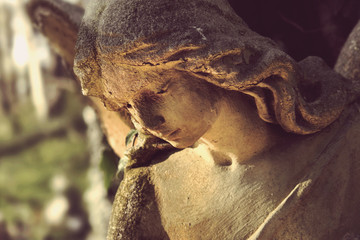 antique statue of angel in the sunlight (image vintage styled)