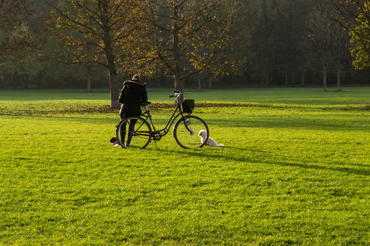 Donna al parco con bicicletta e i suoi cani