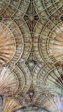 Peterborough Cathedral Vault