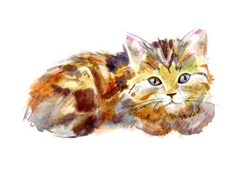 Postcard with ginger kitten.Red cat greeting card.Watercolor hand drawn illustration.White background.