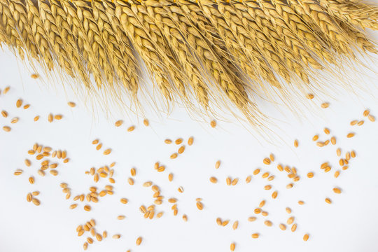 Grains of wheat and wheat ears on a white background
