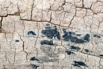 old wooden background 