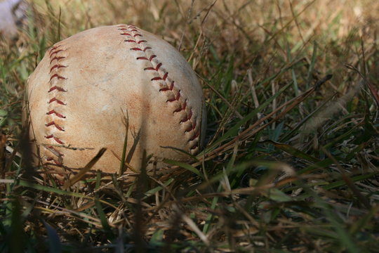 A softball in the grass