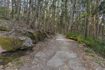 Hiking trail in Cies Islands (Pontevedra, Spain).