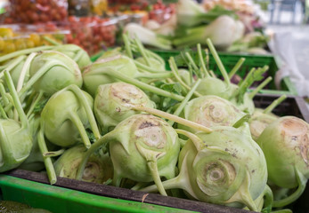 Cabbage kohlrabi