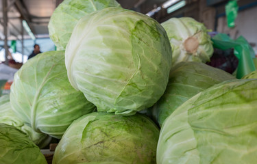 Fototapeta premium Organic cabbage at city market for sale