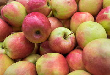 Pink Lady apple at at city market for sale