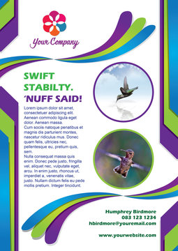 Hummingbird Brochure Layout Template