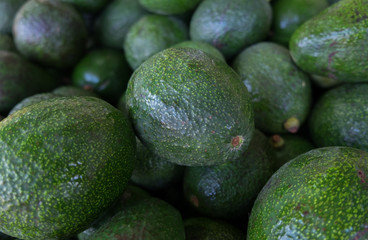 Organic avocado at city market for sale