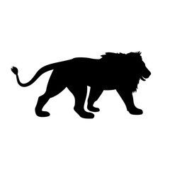 lion vector illustration  black silhouette