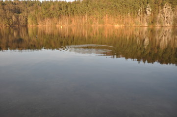 Wasserkreise auf dem See