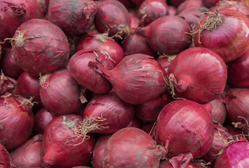 Shallot onions at city market for sale