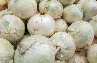 White onion  at city market for sale