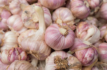 fresh garlics at city market for sale