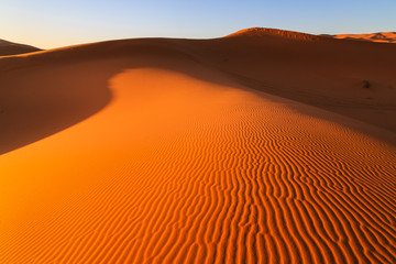 Fototapeta na wymiar Colorful evening sun light shining on the sand dunes of the Erg