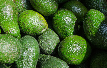 Fresh green avocado for sale at local city market