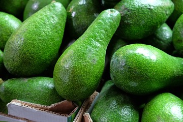 Fresh green avocado for sale at local city market