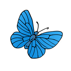 butterfly vector scetch