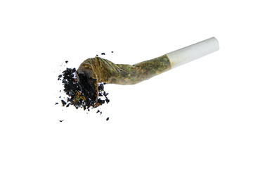 Extinct marijuana joint