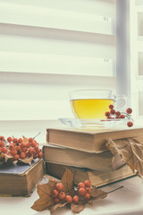 Cup of hot tea, old books, autumn leaves and berries on the window. Autumn still life. Coloring and processing photo.