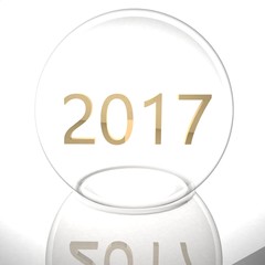 Year 2017 under crystal ball