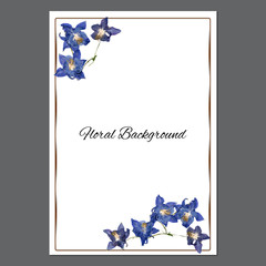 background texture made of  Aquilegia, lily and place for text