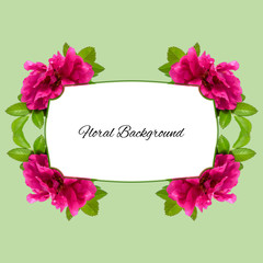 background texture made of red fresh terry rosehips  flowers  and place for text