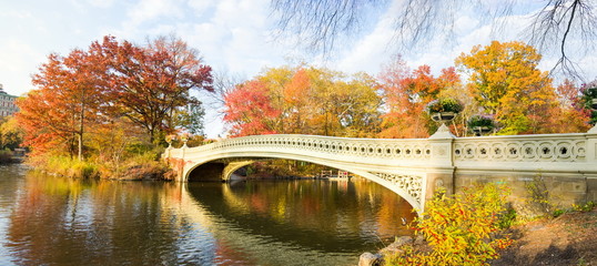 Central park autumn scene, New York - obrazy, fototapety, plakaty