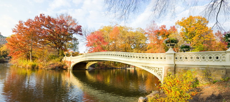 Fototapeta Central park autumn scene, New York