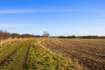 footpath and hawthorn hedgerow