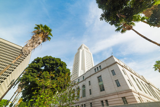 palms around Los Angeles city hall