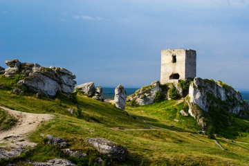 Fototapeta na wymiar ruiny zamku w Olsztynie