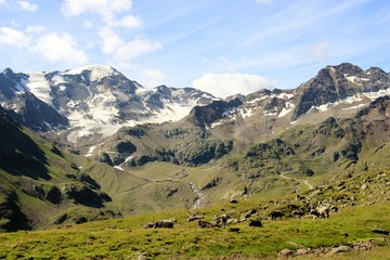 An Gletscher