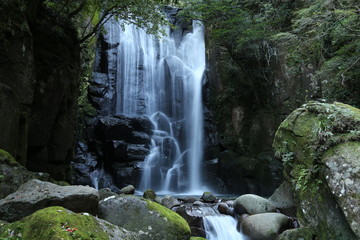 桑の木の滝