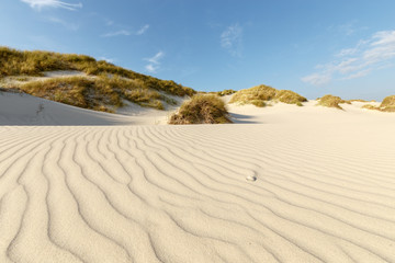 Dünenstrand mit Muscheln