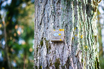 Schild am Baum im Wald im Herbst