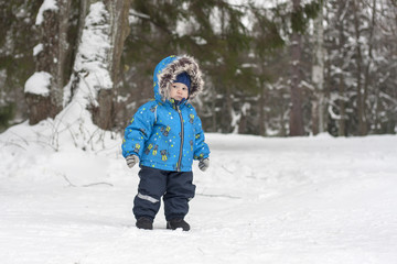 Fototapeta na wymiar Baby boy in winter snow forest wandering among pine trees. Boy w