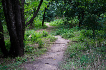 Color Outdoor Guadalupe Trail