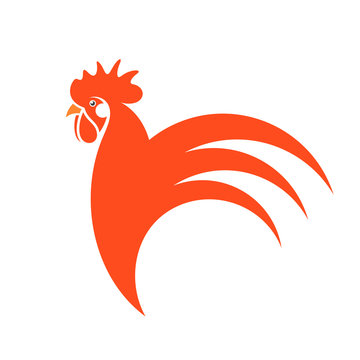 Red rooster. Symbol of New Year 2017