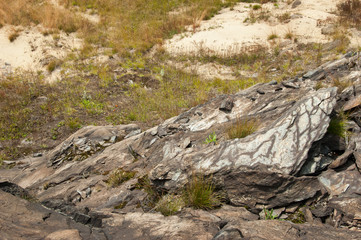 dry rockbed with grasses and lichens