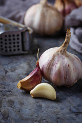Fresh garlic on concrete background