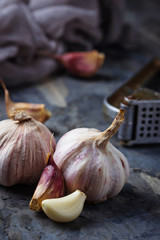 Fresh garlic on concrete background