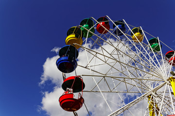 carousel in an amusement park
