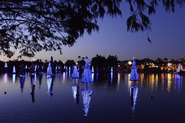 Christmas decorated fir trees in Orlando